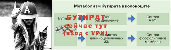 стаф Вяземский